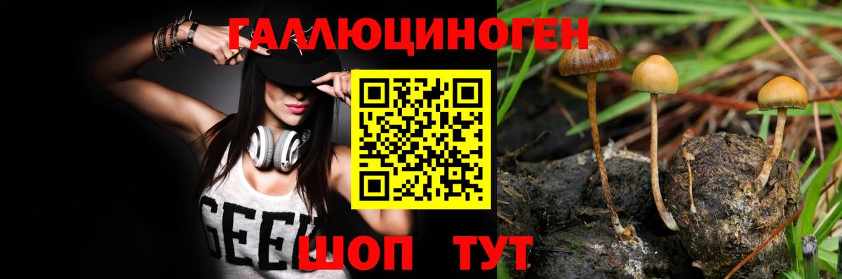 Карасук  дарнет шоп  Вход с VPN  Псилоцибиновые грибы Psilocybine cubensis  Галлюциногенные грибы Cubensis 